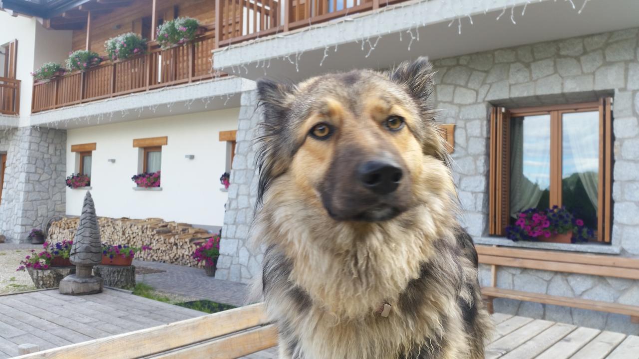 Albergo Chalet Abete Rosso Castello Tesino Dış mekan fotoğraf